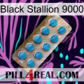 Black Stallion 9000 new09